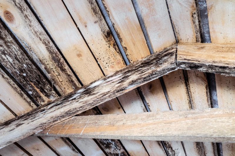 Wood Rot Repair For Decks, Porches, And Ramps